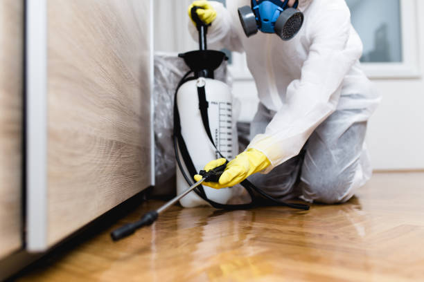 Best Best Pest Control Companies  in Durant, OK