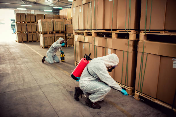 Best Mosquito Control Services  in Durant, OK