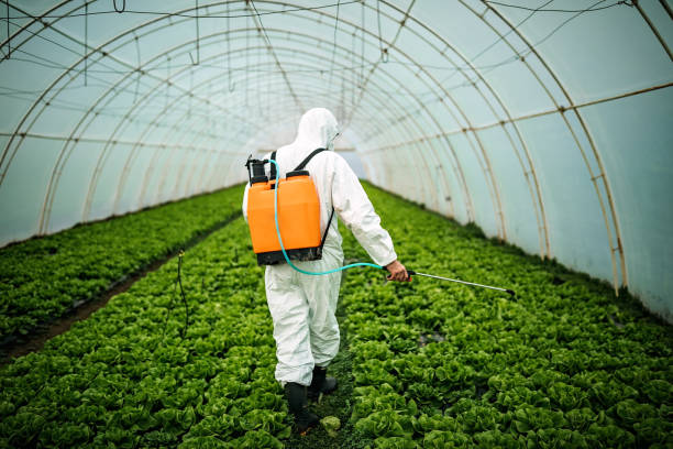 Best Pest Prevention Services  in Durant, OK