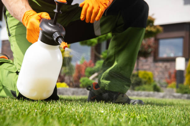 Best Best Pest Control Companies  in Durant, OK
