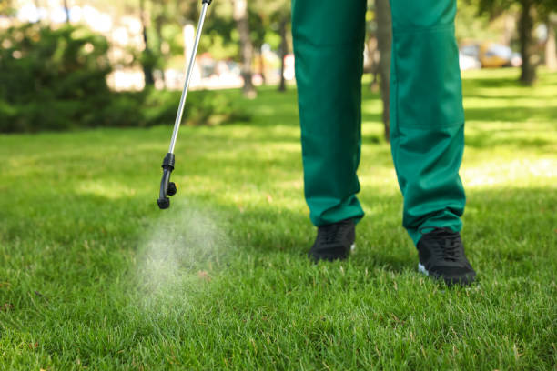 Best Rat Extermination Near Me  in Durant, OK