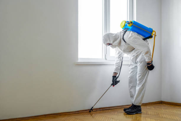Best Flea Control Services  in Durant, OK