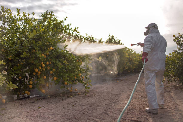 Trusted Durant, OK Pest Control Experts