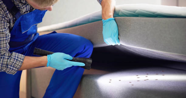 Best Pest Control Near Me  in Durant, OK