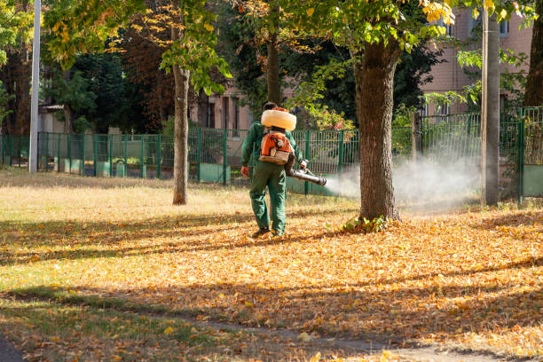 Pest Control for Restaurants in Durant, OK